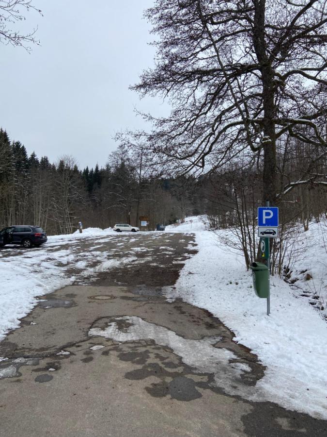 Gemütliche Ferienwohnung Ievgeniia Todtmoos Exterior foto